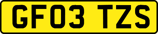 GF03TZS