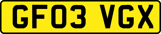 GF03VGX