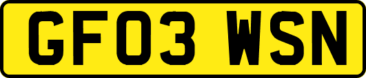 GF03WSN