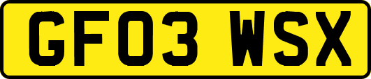 GF03WSX