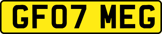 GF07MEG