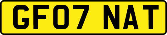 GF07NAT