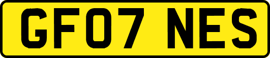 GF07NES
