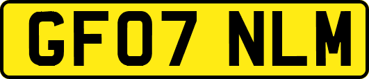 GF07NLM