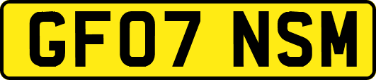 GF07NSM