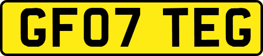 GF07TEG