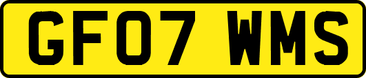 GF07WMS