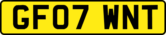 GF07WNT