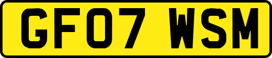 GF07WSM