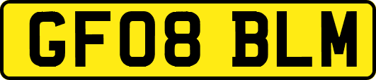 GF08BLM