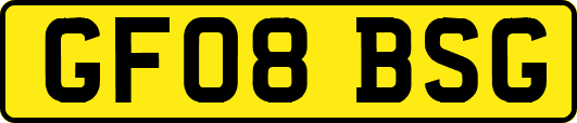GF08BSG