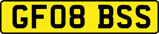 GF08BSS