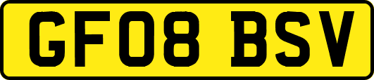 GF08BSV