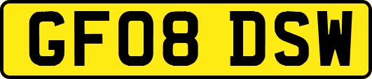 GF08DSW