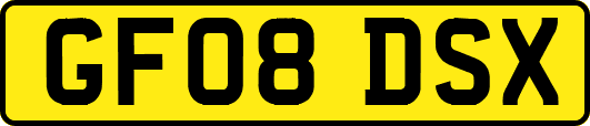 GF08DSX