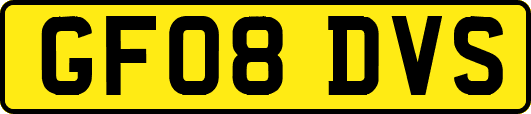 GF08DVS