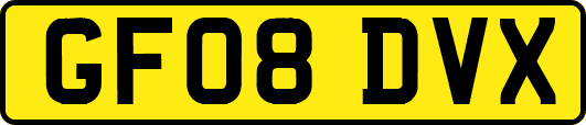 GF08DVX