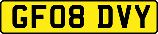 GF08DVY