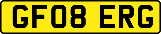 GF08ERG