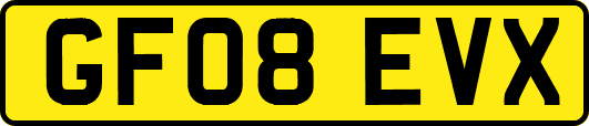 GF08EVX