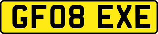 GF08EXE