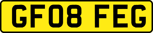 GF08FEG