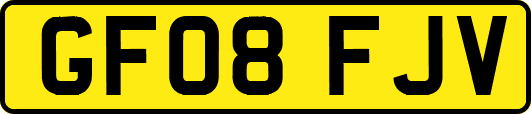 GF08FJV