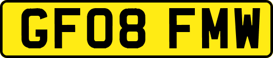 GF08FMW