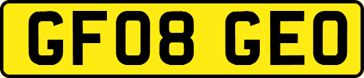 GF08GEO