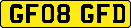 GF08GFD
