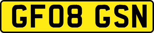 GF08GSN