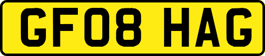 GF08HAG