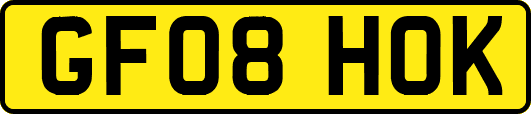 GF08HOK