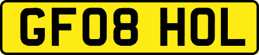 GF08HOL