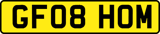 GF08HOM