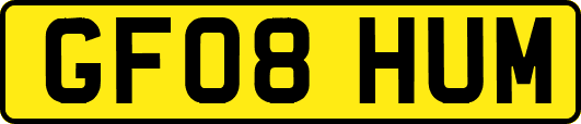 GF08HUM