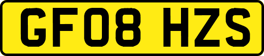 GF08HZS