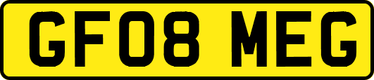 GF08MEG