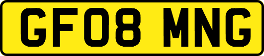 GF08MNG