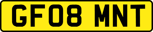 GF08MNT