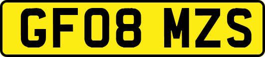 GF08MZS