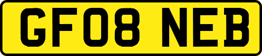 GF08NEB