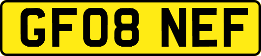 GF08NEF