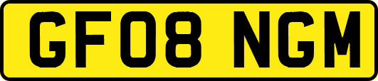 GF08NGM