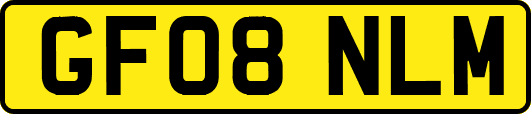 GF08NLM