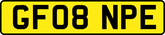 GF08NPE