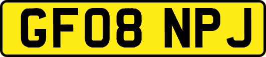 GF08NPJ