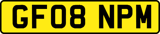 GF08NPM