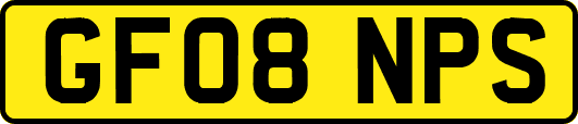 GF08NPS
