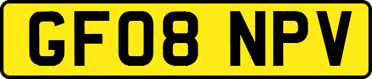 GF08NPV